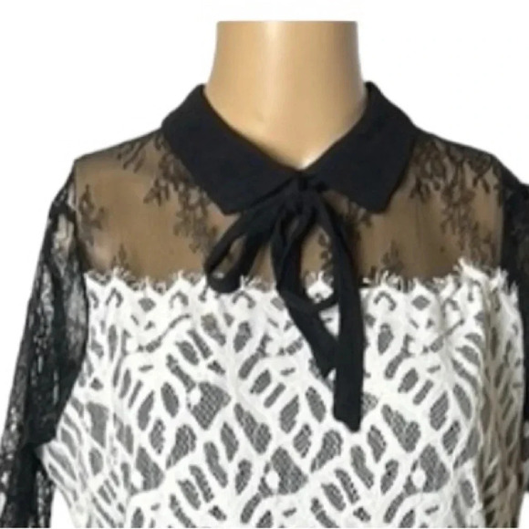 Simons Twik sheer ,lace dress,fray,lined,bow,shirt collar,Colorblock,multi media - Picture 5 of 16